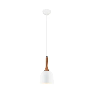 Özcan Lighting 5027-1A Single Decorative Pendant Chandelier